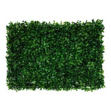 Muro Panel Cesped Artificial Jardin Vertical Pack 8 Unds N1