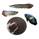 Ração Para Peixes Carnívoros, Pirarucu, Oscar E Outros -10kg