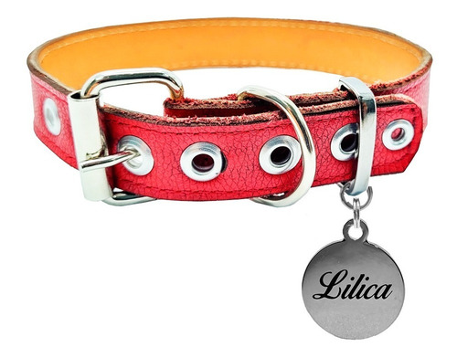 Coleira Couro Fivela Placa Nome Telefone Laser Bulldog Luxo