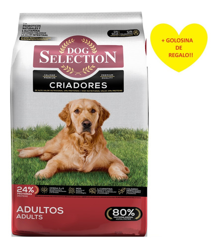 Dog Selection Perro Adulto Mediano Y Grande 21k + Regalo!!