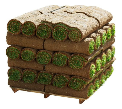 Pasto Premium. Oferta 30 Rollos. 15mt2