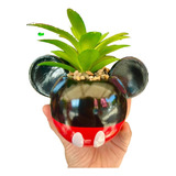 Mini Maceta Disney Decoración Escritorio Oficina Jardín Casa