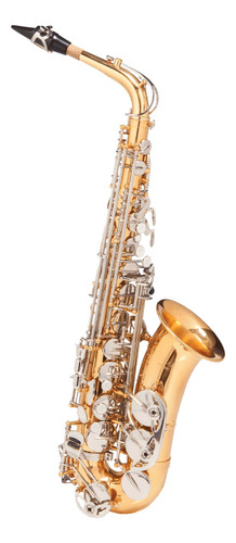Saxofone Alto Michael Dual Gold Wasm49 Especial