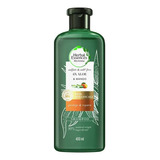 Shampoo Con Aloe Y Mango Protege, Hidrata Y Repara 400 Ml