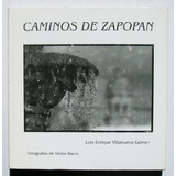 Luis Enrique Villanueva Caminos De Zapopan Libro 2008