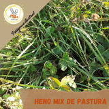 Heno De Mix De Pastura Para Conejo, Cobayo, Chinchilla.