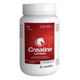 Creatina 2 Kg Massa Muscular E Energia Em Equinos - Lavizoo 