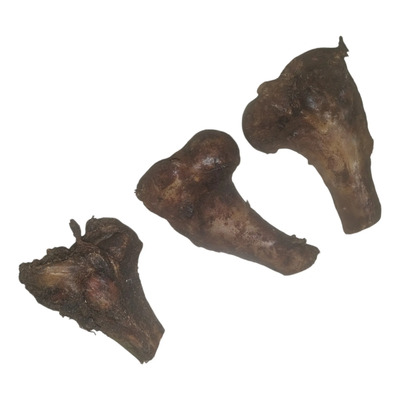 Femur Mini De Cerdo 3 Pzas (deshidratados Y Ahumados)  | MercadoLibre