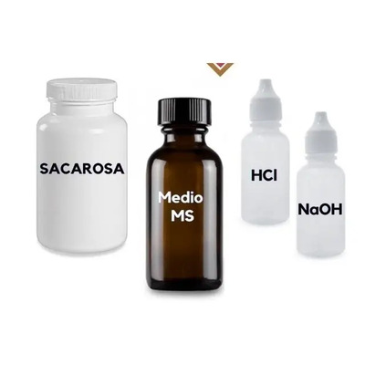 Kit Principiantes- Cultivo Invitro Orquideas  | Meses sin interés