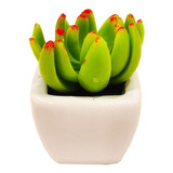 Planta Artificial Maceta Ceramica Varios Modelos Sheshu Home