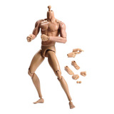 Figuras De Cuerpo Musculoso Masculino A Escala 1/6 De