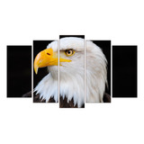 Cuadros Decorativos De Aguila Calva - Aves 1.20x70cm