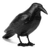 Antipaloma Cuervo Promo Mundial Raven Repele Trampa Natural