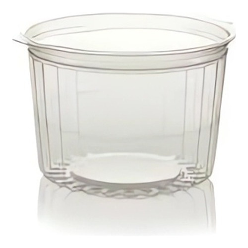 Contenedor Plastico Transparente Con Bisagra (40-16fl) X100u