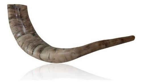 Shofar De Cuerno De Carnero Pulido Con Curva Ancha Y Colores