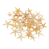 Nohle Decoración De Estrella De Mar Natural Para 2-3cm 50