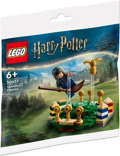 Lego Harry Potter Practica De Quidditch 30651 -55 Pz Polybag