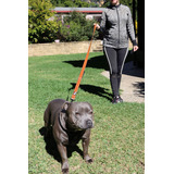 Primal Pet Gear Correa De Perro Resistente De 6 Pies De Larg