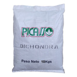 Semillas Cesped Pasto Dichondra Eeuu Oreja Raton 10k Picasso