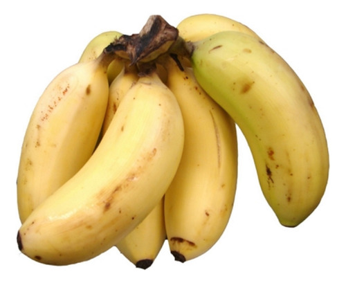 Super Bananas Maçã 4 Rizomas Mudas Babá Criança Idoso Sítios