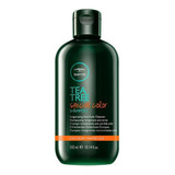 Shampoo Tea Tree Special Color 300 Ml Paul Mitchell