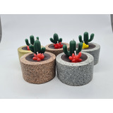 3 Velas Cactus Suculentas Aromaterapia Base De Concreto 