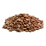 Cacao En Grano   1 Kilo