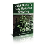 Quick Guide Easy To Marijuana Growing