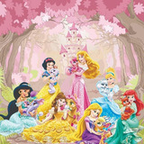 Papel Adesivo Decoração Princesas Disney Cinderela Ariel 1m²
