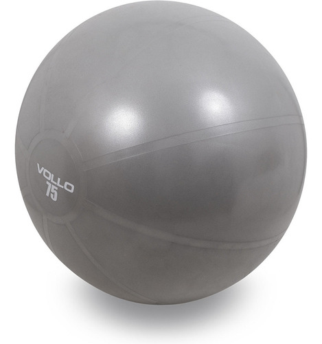 Bola Suiça Bobath Gym Ball Pilates Fisioterapia 75cm C/bomba