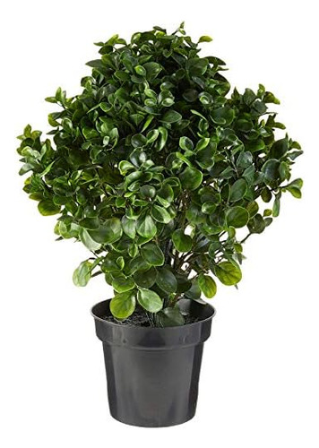 Peperomia Indoor/outdoor Uv Resistant Plant, Green, 28 