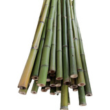 15 Varas De Bambú Natural Jardin 110 Cm Largo / 3 Cm Grosor