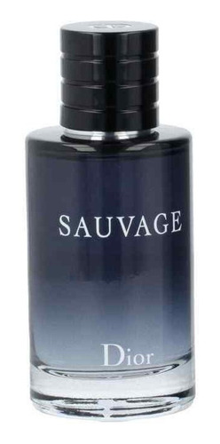 Perfume Sauvage Dior Edt 100ml Original Importado Com Nf