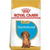 Royal Canin Dachshund Puppy - 1 Kg