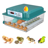 Incubadora Huevos Rollo Automática 16 Huevos Pollos Y Aves