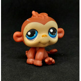 Mono - Littlest Pet Shop Hasbro - Los Germanes