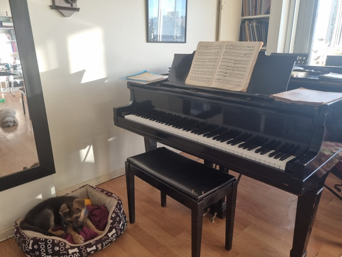 Se Vende Piano De 1/4 Cola ,americano Marca Hardman .