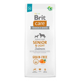 Brit Care Dog Grain-free Senior & Light Salmon 12kg