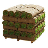 Pasto Natural Mihogarverde. Promo 10 Rollos. 