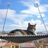 Hamaca De Ventana Para Gatos - Cama Colgante