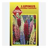 Semillas Certificadas Flor Lupinus Colores Ornamental