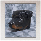 Mate Mascota Rottweiler Personalizado Impresión 3d