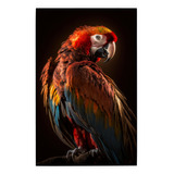 Cuadro De Colección Aves Hermosas Guacamaya Bandera Ch