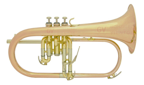 Flugelhorn Clef Cfld150 Dorado + Accesorios