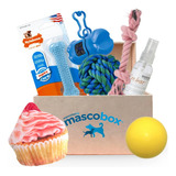 Pelotas Cachorro Mascobox Kit Ultra S Y M Nylabone Resistent