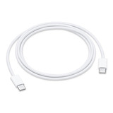 Cable Original Apple C A C iPad Mini Genuino 1 Metro