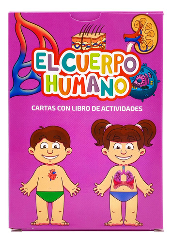 Cartas Didácticas Para Niños El Cuerpo Humano Y Actividades