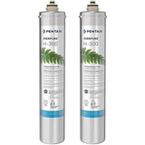 Everpure H-300 Cartucho De Repuesto Para Filtro De Agua (ev9