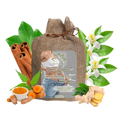 Té Jengibre Vitality Shop Saquitos Antioxidante Antiinflamatorio Pack 30 | Meses sin interés
