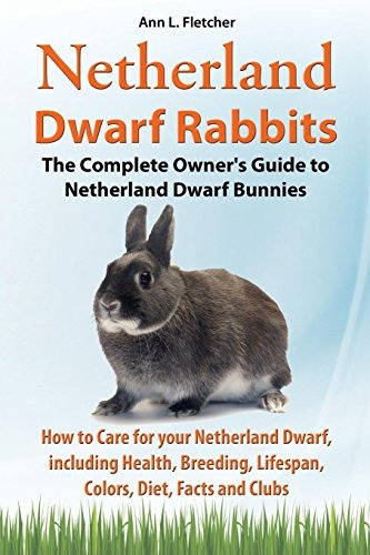Conejos Enanos De Holanda La Guia Completa Para Los Propieta